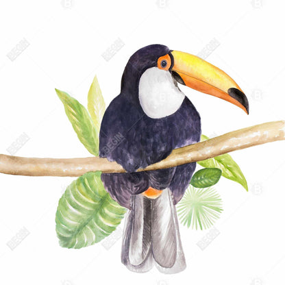 Toile botanique Toucan exotique | Décoration murale encadrée