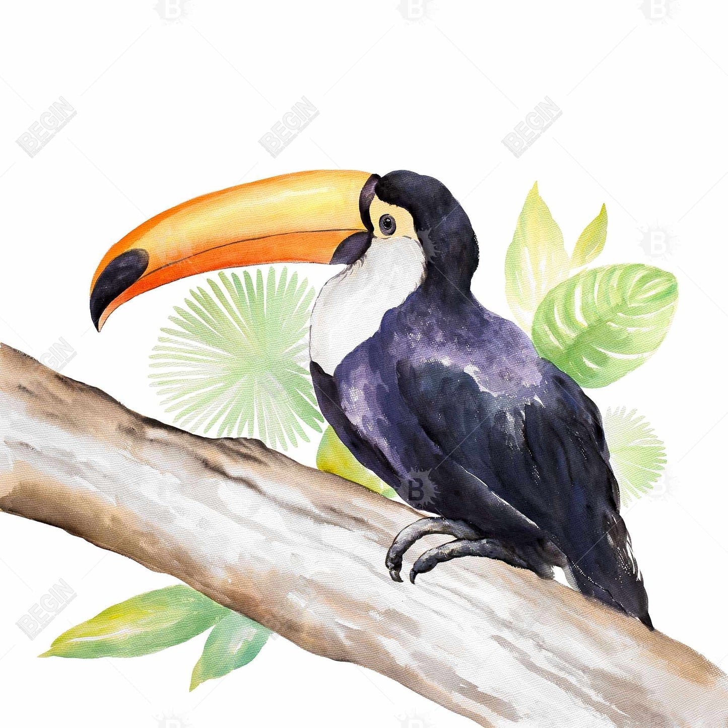 Toile exotique représentant un toucan brun | Décoration d'intérieur encadrée