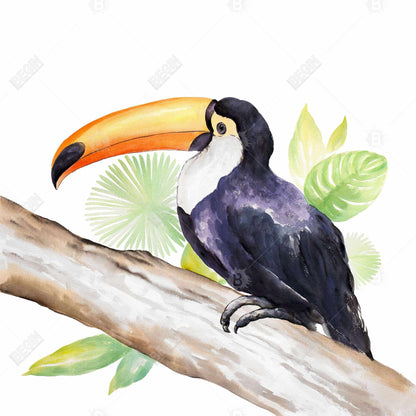 Toile exotique représentant un toucan brun | Décoration d'intérieur encadrée