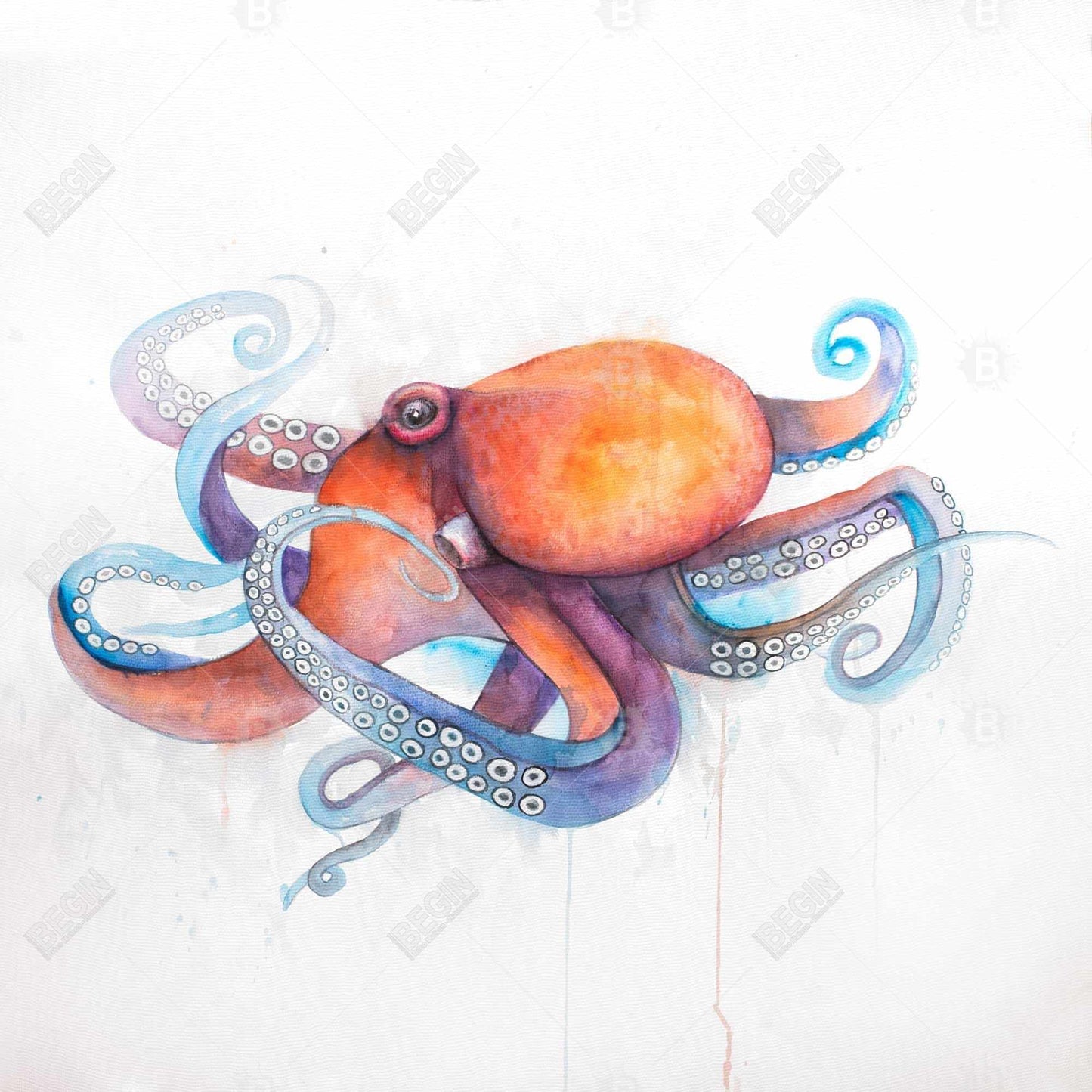 Colorful Octopus Profile Framed Canvas | Aquatic Home Decor
