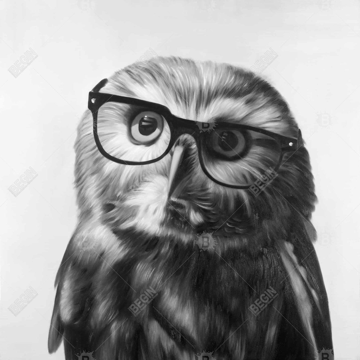 Northern Saw-Whet Owl Canvas | Monochrome Animal Wall Art