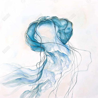 Toile encadrée bleue représentant une méduse en mouvement | Décoration de chambre animalière