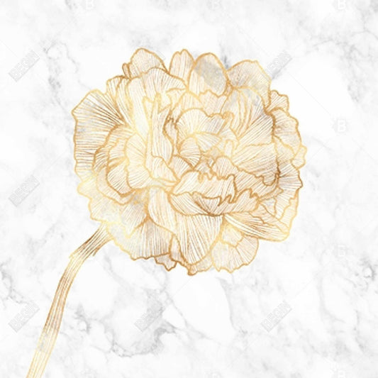 Toile florale blanche Pivoine dorée | Décoration d'intérieur et art botanique