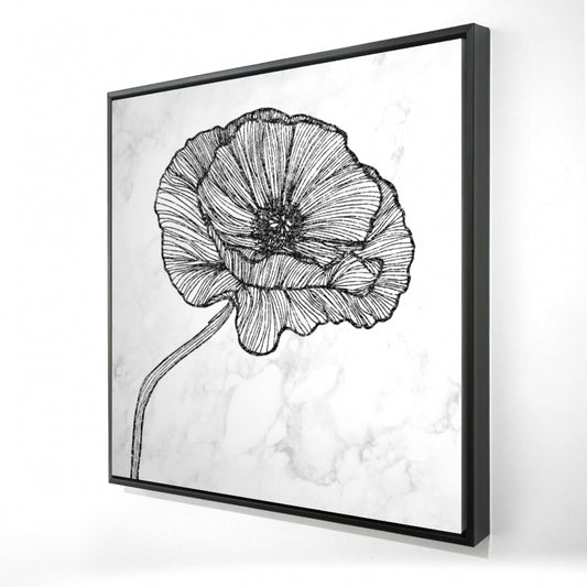 24"x24"