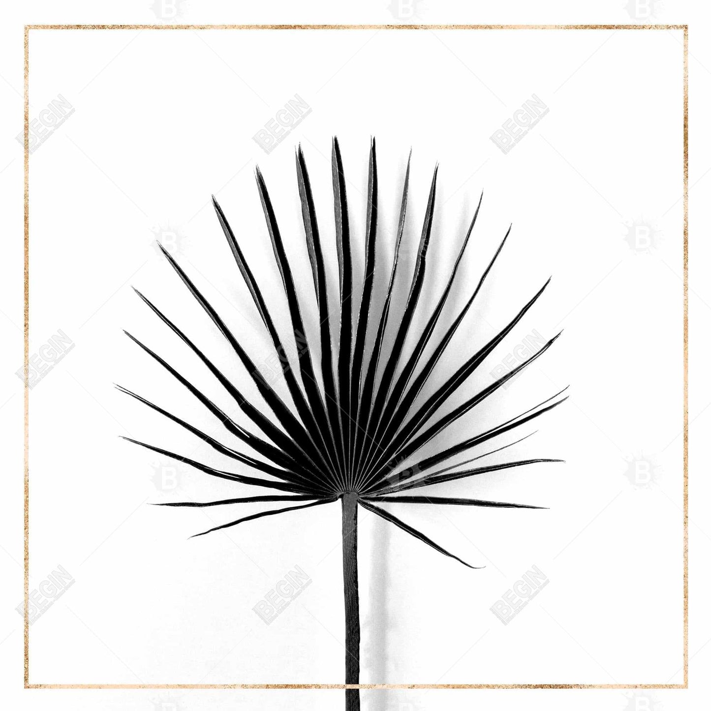Cabbage Palm Leaf Canvas | White Botanical Livingroom Decor