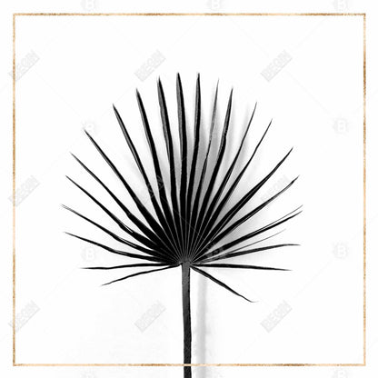 Cabbage Palm Leaf Canvas | White Botanical Livingroom Decor