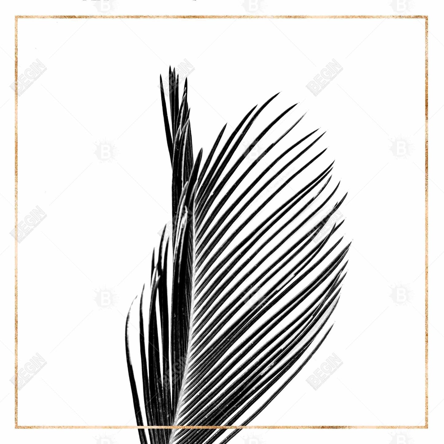 Areca Palm with Rose Line Canvas | White Floral Home Decor