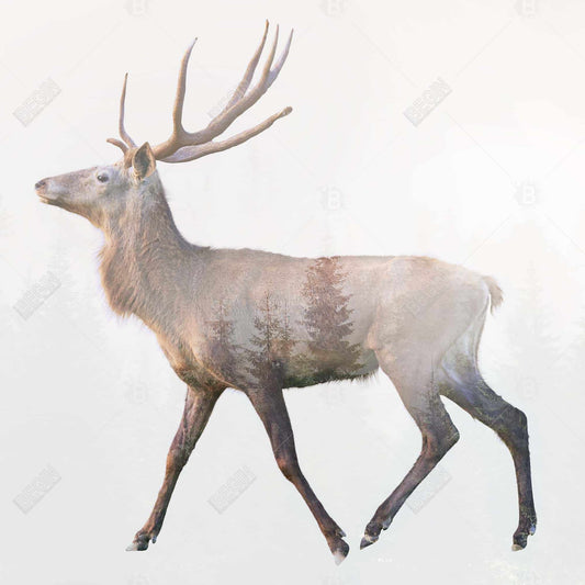 Deer and Forest Canvas | Rustic Animal Bedroom Decor