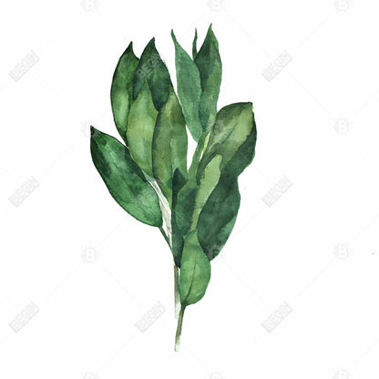 Toile encadrée « Feuilles de laurier » | Décoration de cuisine minimaliste
