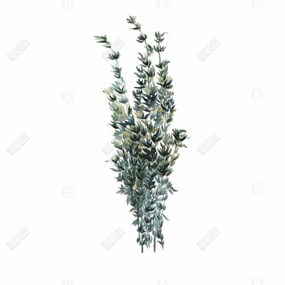 Toile encadrée blanche « Feuilles de thym » | Décoration d'intérieur