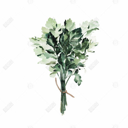 Toile « Tied Up Persil Bundle » | Décoration d'intérieur à feuilles blanches