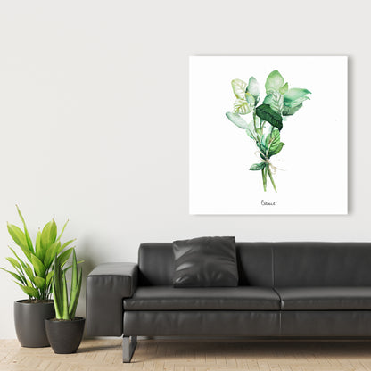 Tied Up Basil Leaves Bundle Canvas | Home Decor Art