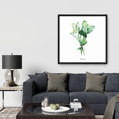 Toile encadrée « Feuilles de basilic attachées » | Décoration de cuisine et d'intérieur
