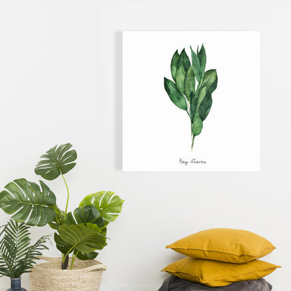 Bay Leaves Bundle Canvas | Home Decor Art Print