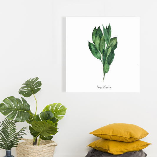Bay Leaves Bundle Canvas | Home Decor Art Print