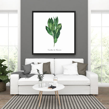 Toile encadrée « Feuilles de laurier » | Décoration de cuisine illustrative blanche
