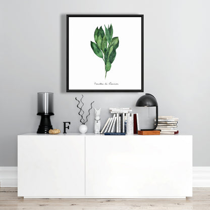 Toile encadrée « Feuilles de laurier » | Décoration de cuisine illustrative blanche