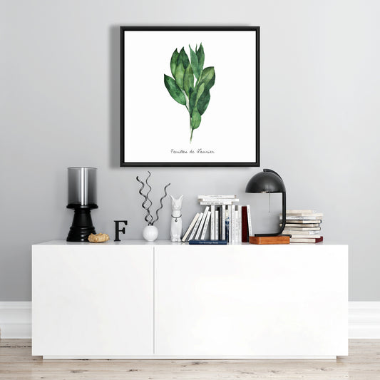Toile encadrée « Feuilles de laurier » | Décoration de cuisine illustrative blanche