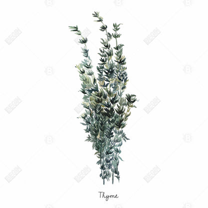 Thyme Leaves Bundle Canvas | White Kitchen Decor Wall Art