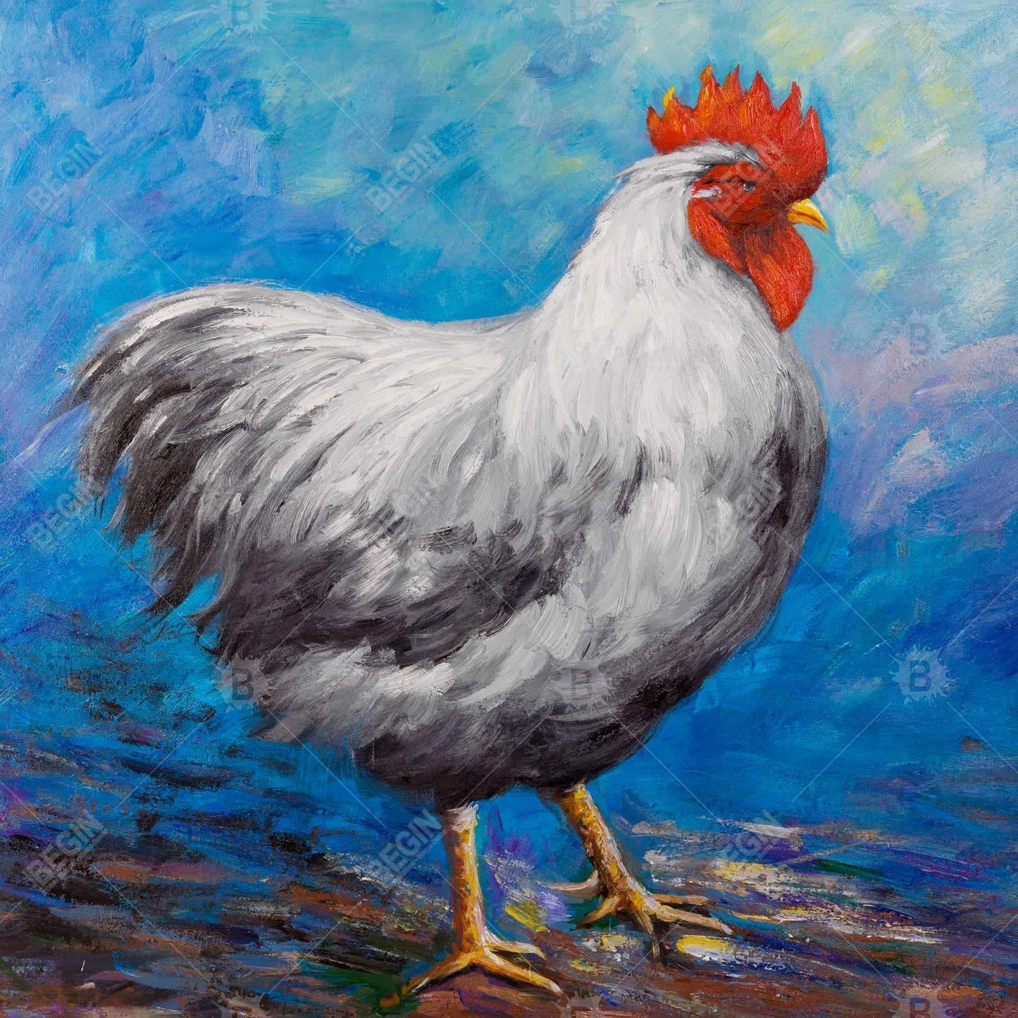 Toile encadrée Coq gris | Décoration d'intérieur sur le thème des animaux de la ferme