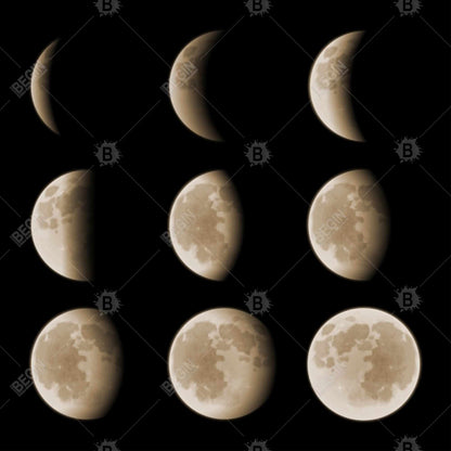 Eclipse in Nine Phases Canvas | Modern Black Framed Wall Art
