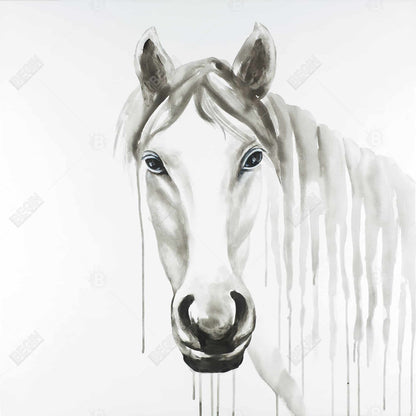 Solitary White Horse Canvas | Farm Animal Bedroom Decor
