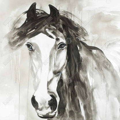 Beautiful Wild Horse Canvas | Minimalist Home Decor Art