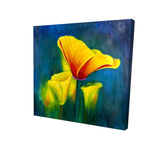 24"x24"