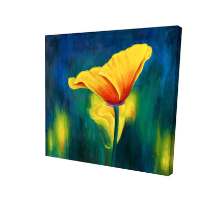 24"x24"