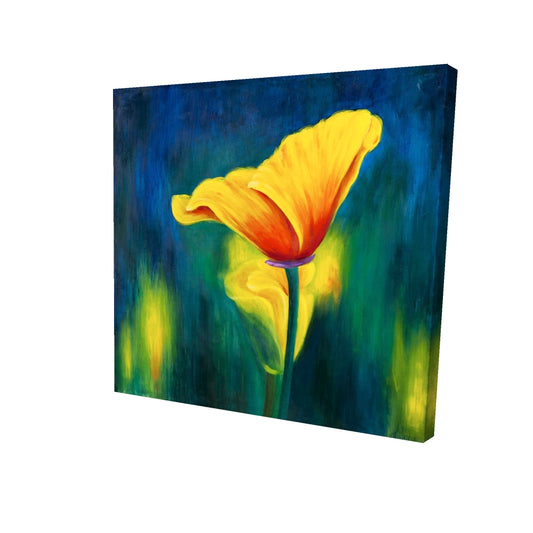 24"x24"