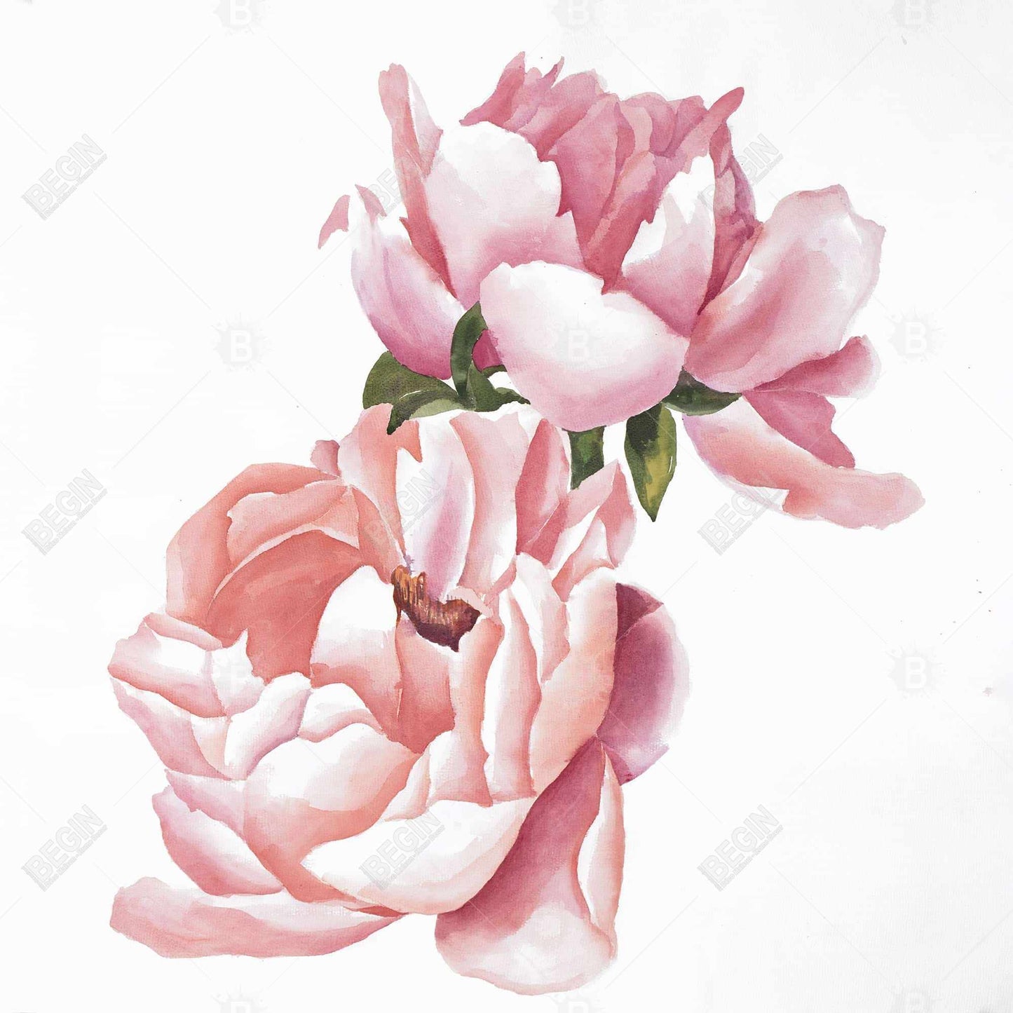 Two Pink Watercolor Roses Canvas - Romantic Home Decor Art
