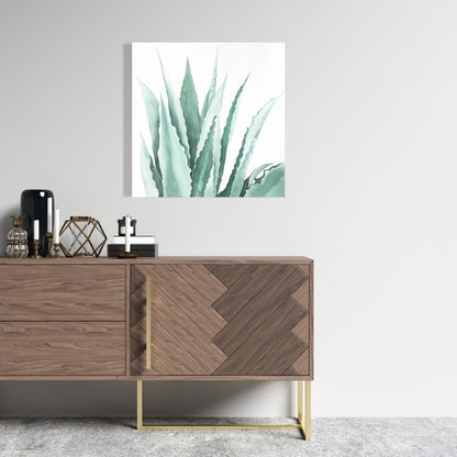 Watercolor Agave Plant Canvas | White Exotic Floral Decor