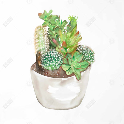 Cactus Assortment Canvas - Exotic Floral Botanical Home Decor