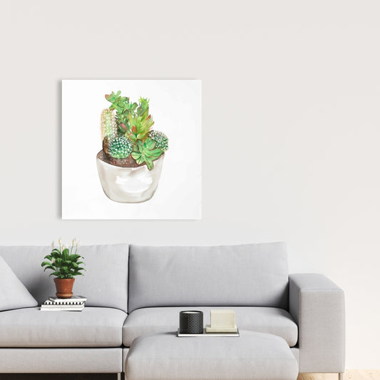 Cactus Assortment Canvas - Exotic Floral Botanical Home Decor