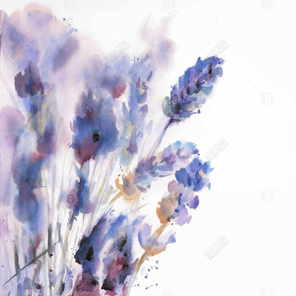 Watercolor Lavender Flowers Canvas | Botanical Home Decor