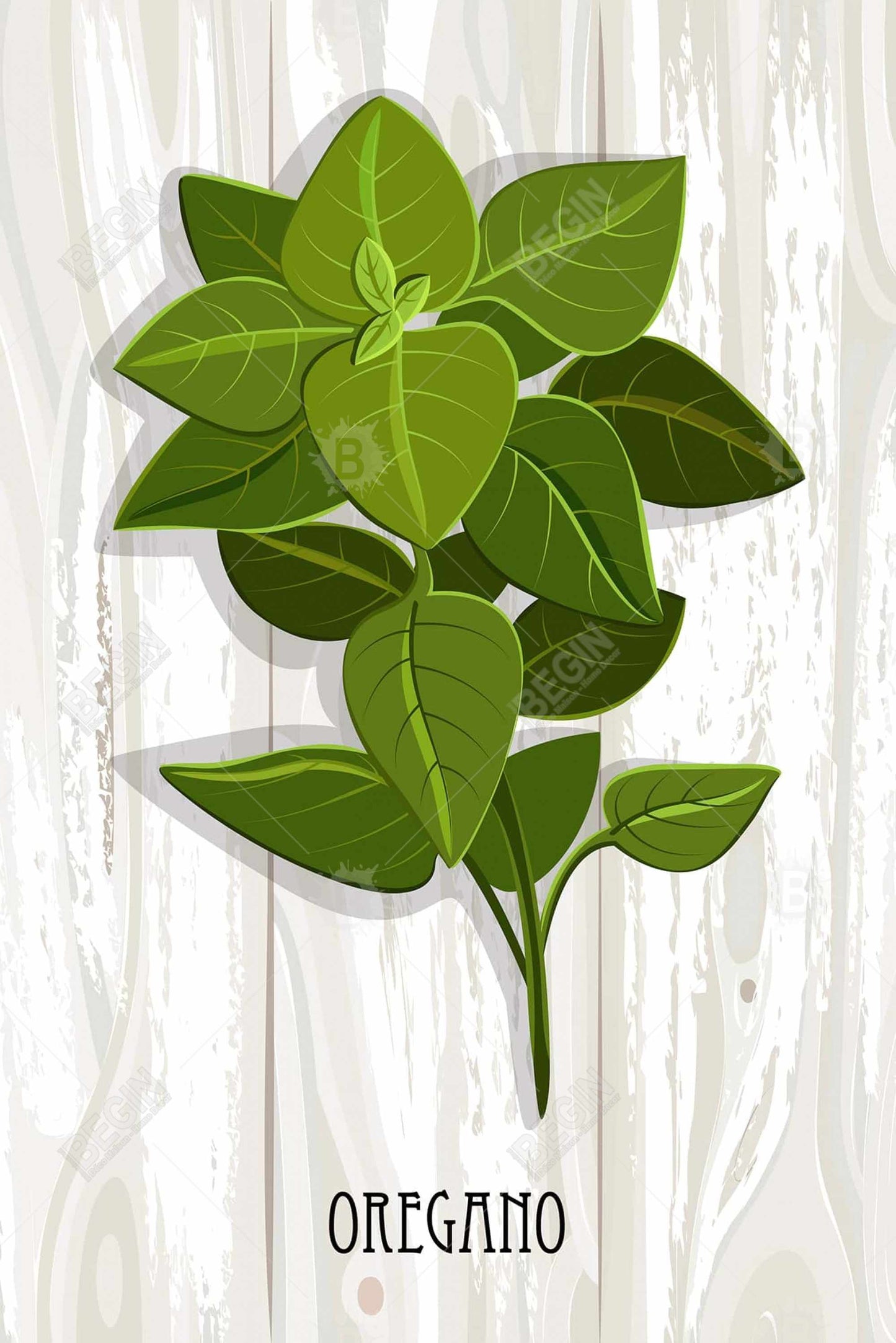 Oregano on Wood | Gastronomy Gray Kitchen Framed Canvas Decor