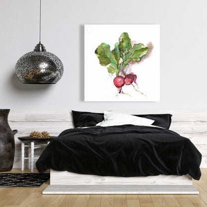 Watercolor Radish Canvas | Kitchen Wall Art Home Decor