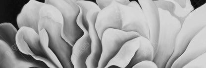 Magnifique toile fleurie en noir et blanc | Décoration d'intérieur