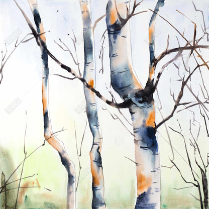 Three Small Birch Trees - Blue Landscape Canvas for Home Decor