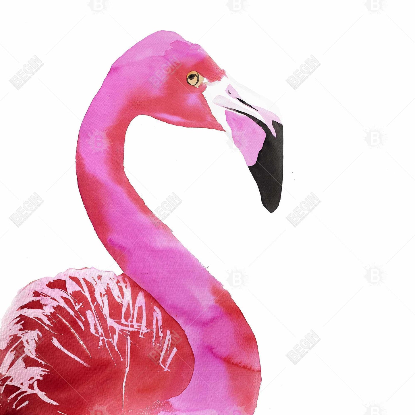 Watercolor Proud Flamingo Profile Canvas - Pink Bird Home Decor