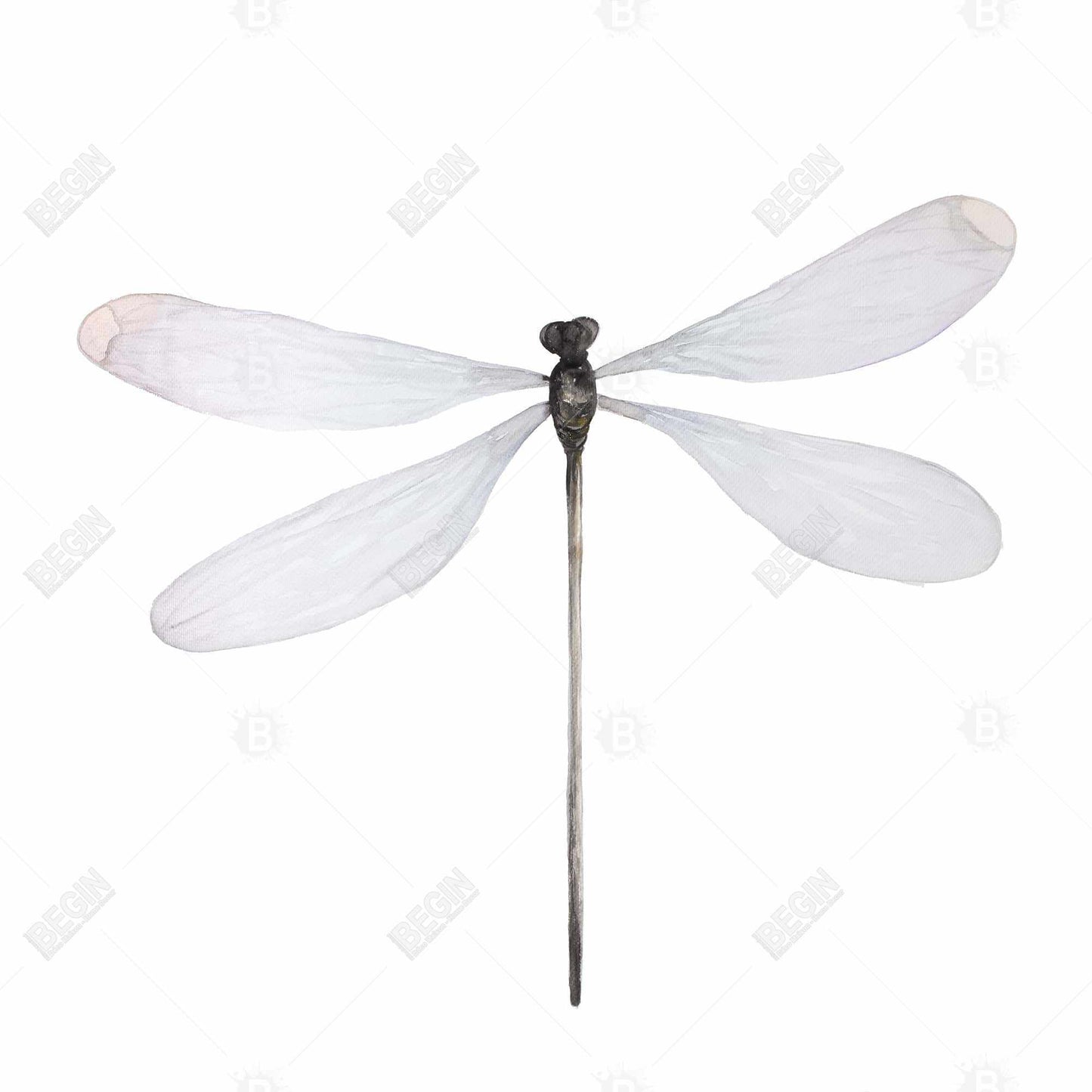 Minimalist Dragonfly Canvas - Insect Gray Animal Home Decor