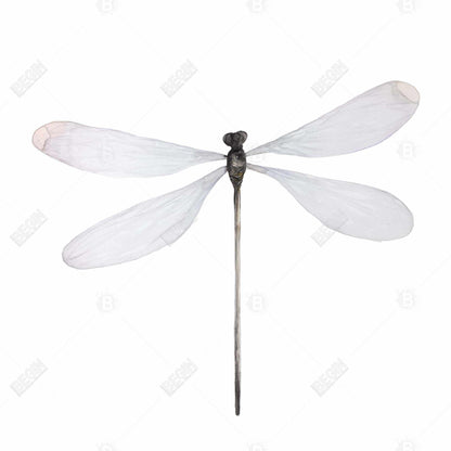 Minimalist Dragonfly Canvas - Insect Gray Animal Home Decor