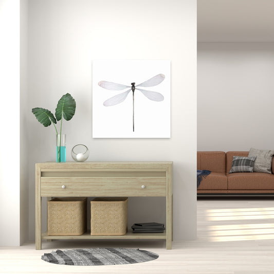 Minimalist Dragonfly Canvas - Insect Gray Animal Home Decor