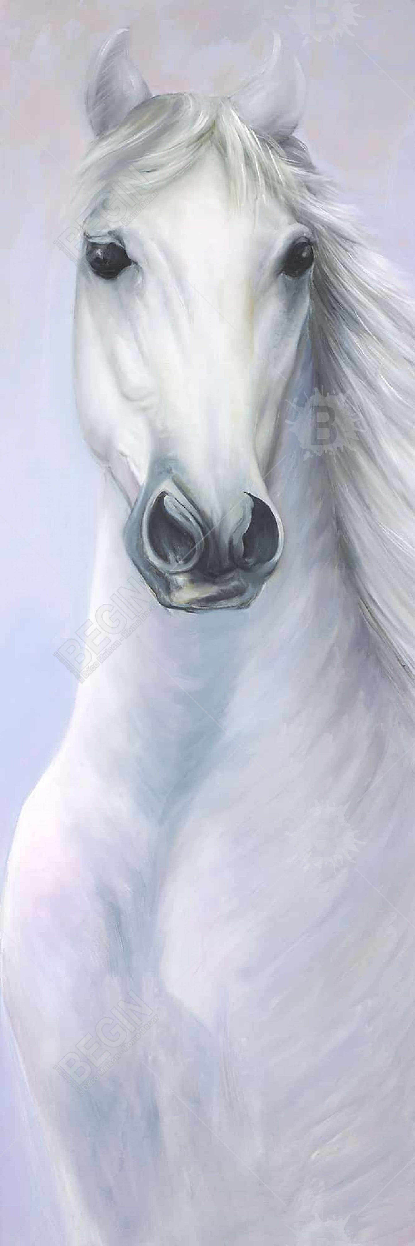 Toile « Puissant cheval blanc » | Décoration d'animaux de la ferme encadrée bleue
