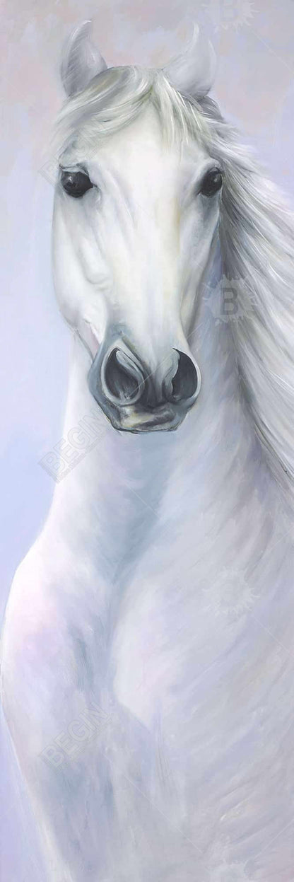 Toile « Puissant cheval blanc » | Décoration d'animaux de la ferme encadrée bleue