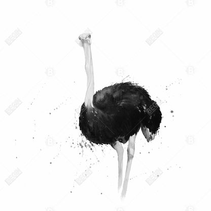 Ostrich Watercolor Canvas - Gray Bedroom Animal Art Decor