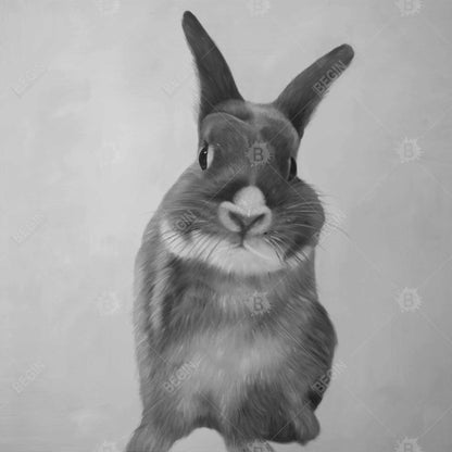 Funny Gray Rabbit Canvas - White Bedroom Decor for Animal Lovers