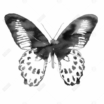 Black Butterfly Minimalist Framed Canvas | Home Decor Art