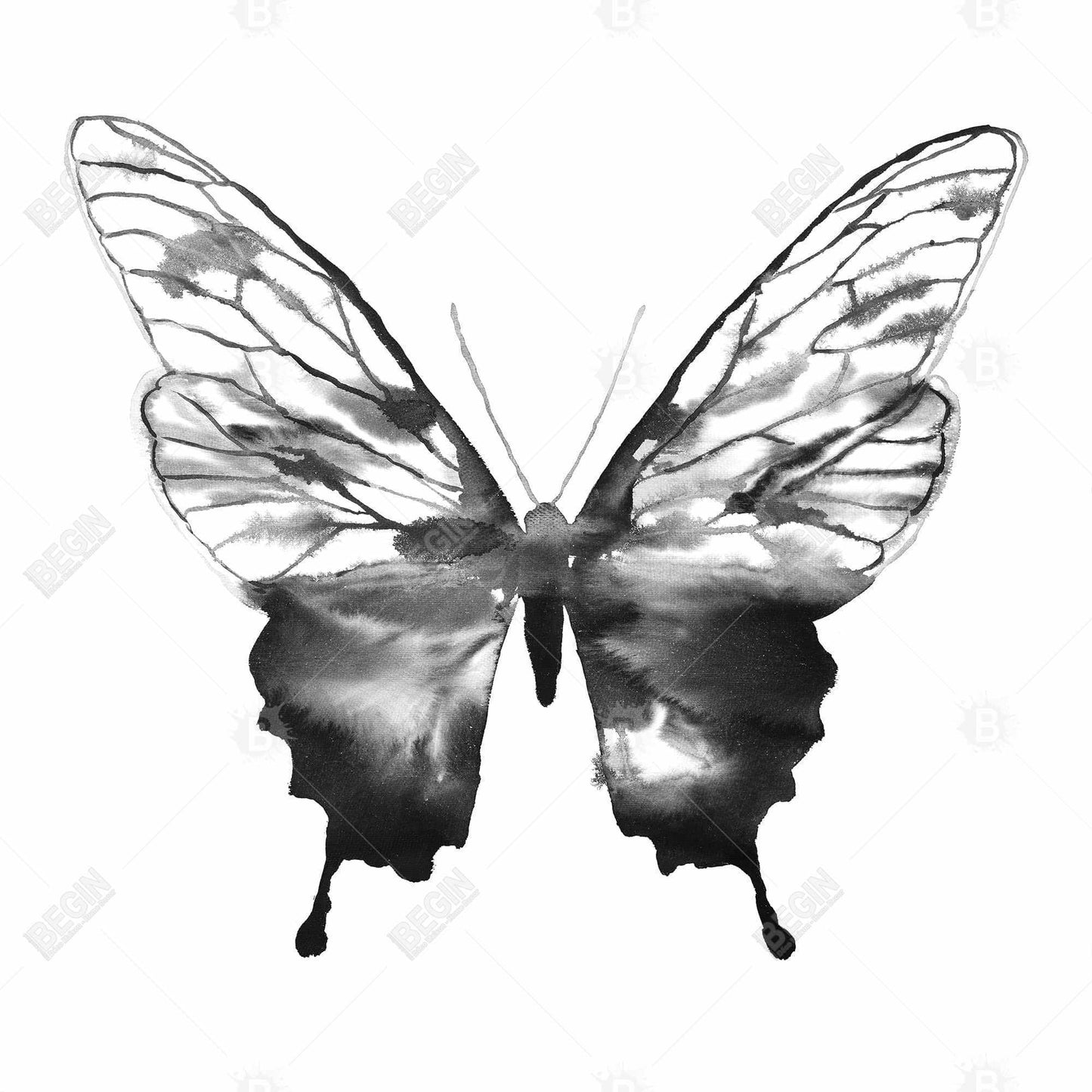 Black Butterfly Sketch Canvas | Minimalist Bedroom Decor