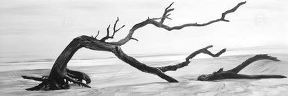 Gray Coastal Canvas - Dead Tree in Water | Bedroom Wall Art